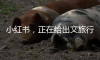 小红书
，正在给出文旅行业增长新解答