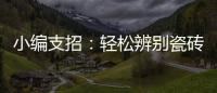 小编支招�	：轻松辨别瓷砖的品质