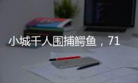 小城千人围捕鳄鱼	�，71条已全部查明和追回