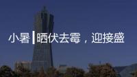 小暑┃晒伏去霉，迎接盛夏