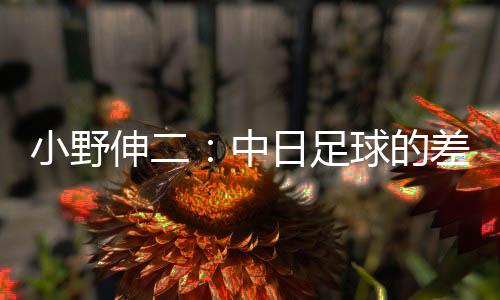 日本队踢得还是差距不错的