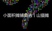 小面积摊铺首选丨山猫摊铺机为何如此厉害	？