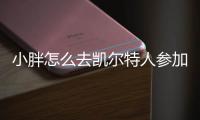 小胖怎么去凯尔特人参加夏联了
？ 曾经是CBA的最佳国际球员