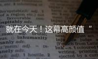 快排公司十年历程，霸屏兔 seo 的崛起与坚守