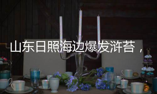 恶臭海浪不停地拍打着礁石