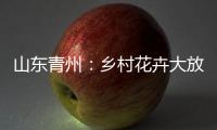 快排公司十年历程，霸屏兔 seo 的崛起与坚守