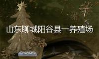 山东聊城阳谷县一养殖场发现炭疽病例	，接触者已隔离治疗
