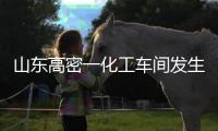 山东高密一化工车间发生爆炸事故 正全力救援救治