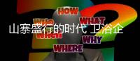 山寨盛行的时代 卫浴企业如何抢占市场

？