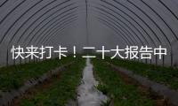 快来打卡！二十大报告中的新表述新概括新论断