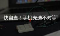 快排公司十年历程，霸屏兔 seo 的崛起与坚守