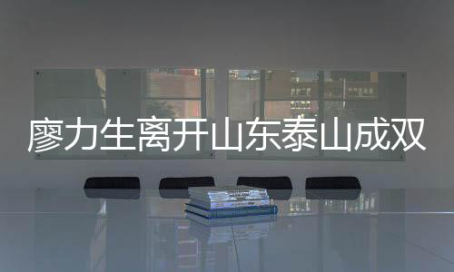 助手对于廖力生来说