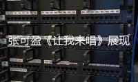 快排公司十年历程，霸屏兔 seo 的崛起与坚守