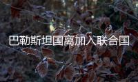快排公司十年历程，霸屏兔 seo 的崛起与坚守