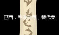 巴西，毛遂自荐�，替代美国