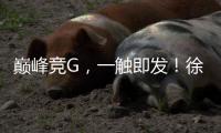 巅峰竞G，一触即发！徐工挖机掀起潇湘大地竞技热潮