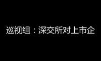 巡视组：深交所对上市企监管不力