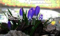 市场口碑、人气较好的开关插座品牌有哪些?