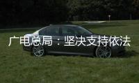 快排公司十年历程，霸屏兔 seo 的崛起与坚守
