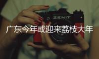 广东今年或迎来荔枝大年
，产量有望比去年激增三到四成