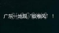广东一地现“蚊卷风”！网友：头皮发麻