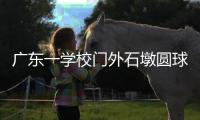 广东一学校门外石墩圆球加设钢管护栏
，网友质疑多此一举，学校回应：是出于安全考虑，加装为防车辆撞击