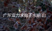 广东富力求购王永珀 山东鲁能笑话其异想天开