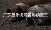 广东应急统筹各地预置三防抢险队伍240支	、14806人
