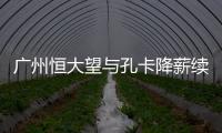 快排公司十年历程，霸屏兔 seo 的崛起与坚守