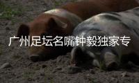 广州足坛名嘴钟毅独家专访，最看好郭五岳的发展�：模版金英权