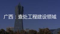 广西�：查处工程建设领域腐败问题440件 处分470人