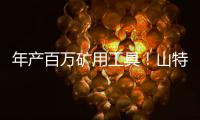 快排公司十年历程，霸屏兔 seo 的崛起与坚守