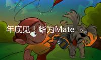 年底见！华为Mate 80系列定制新双层OLED屏幕