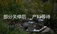 快排公司十年历程，霸屏兔 seo 的崛起与坚守
