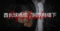 快排公司十年历程，霸屏兔 seo 的崛起与坚守