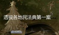 透视各地民法典第一案 裁判背后体现了什么？