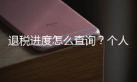 退税进度怎么查询�
？个人所得税汇算热点问答来啦！