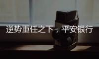逆势重任之下

，平安银行大变阵，业绩能否再提振？｜透视金融业年报①