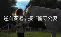 逆向春运
，接“留守公婆”来京过年