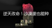 逆天改命！沙漠里也能种出“吨粮田”
