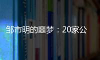 邹市明的噩梦：20家公司崩盘，败光2亿	，妻子变卖名牌填窟窿