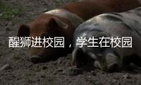 醒狮进校园，学生在校园感受浓郁广府文化熏陶