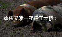重庆又添一座跨江大桥：马鞍石复线桥开工建设