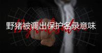 野猪被调出保护名录意味着什么？