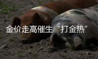 快排公司十年历程，霸屏兔 seo 的崛起与坚守