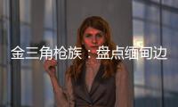 金三角枪族：盘点缅甸边境的自制武器