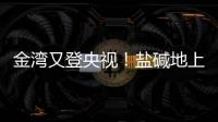 金湾又登央视！盐碱地上“变”出1.8万亩良田