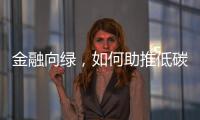 金融向绿，如何助推低碳经济破浪前行｜2024企业双碳行动力调研