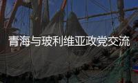 快排公司十年历程，霸屏兔 seo 的崛起与坚守