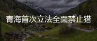 青海首次立法全面禁止猎捕旱獭等鼠疫疫源动物